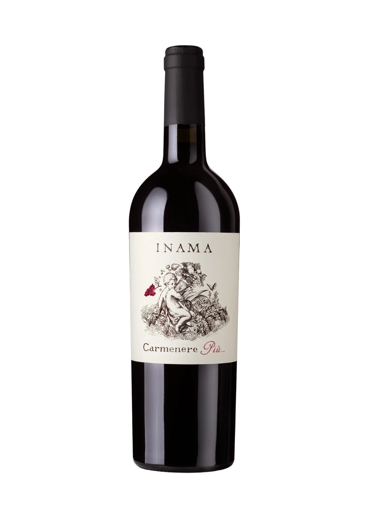 Inama Carmenere "Piu" Rosso Veneto 2023 bottle