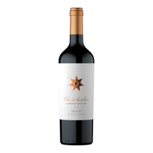 CLOS DE LOS SIETE RED BY MICHEL ROLLAND 2020