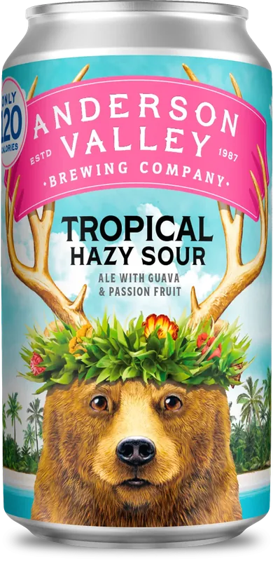 Anderson Valley Tropical Hazy Sour 6pk Cans bottle